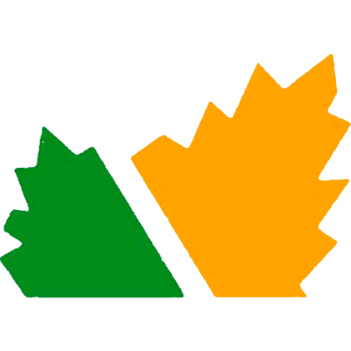 https://vivienpinamar.com.ar/wp-content/uploads/2025/02/Proyecto-nuevo.png