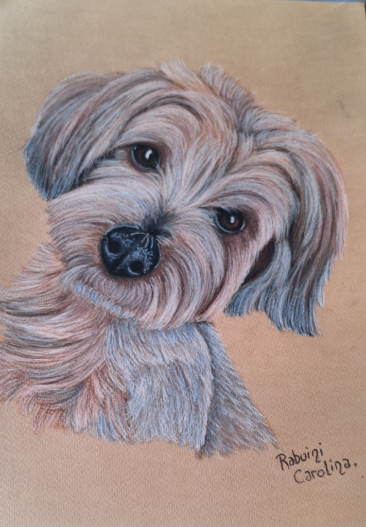 Carolina Rabuini Arte Pinamar 4