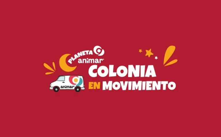 Colonia de verano Animar Eventos Guia de Playa