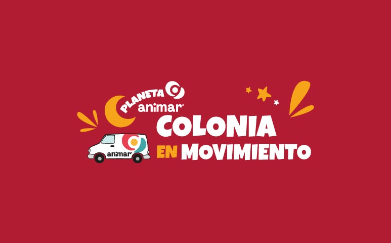 Colonia de verano Animar Eventos Guia de Playa