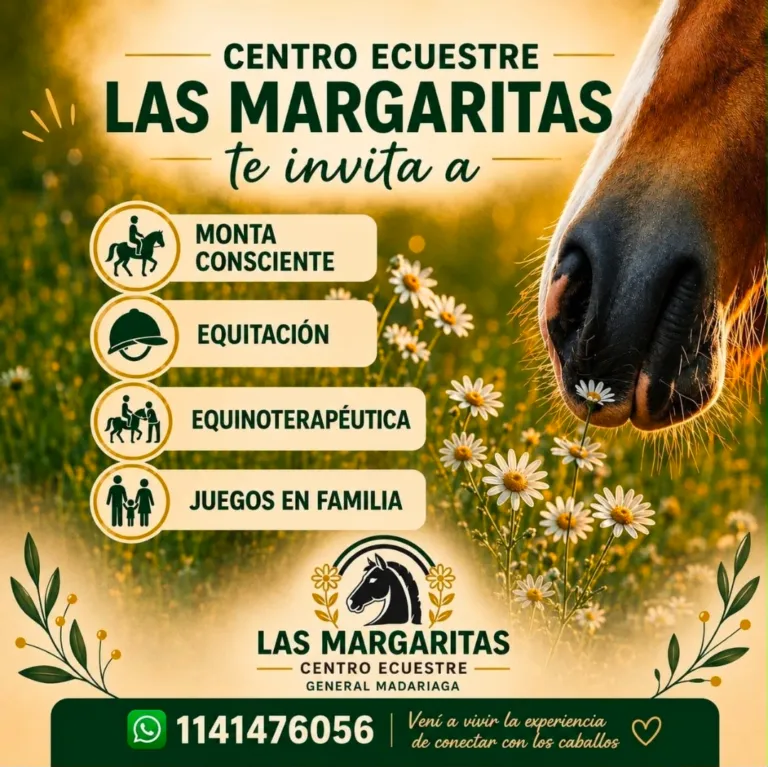 Escuela de equitacion en Madariaga
