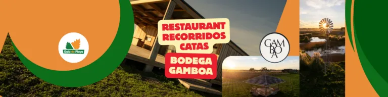 Casta de Vivo Bodegas Gamboa Guia de Playa