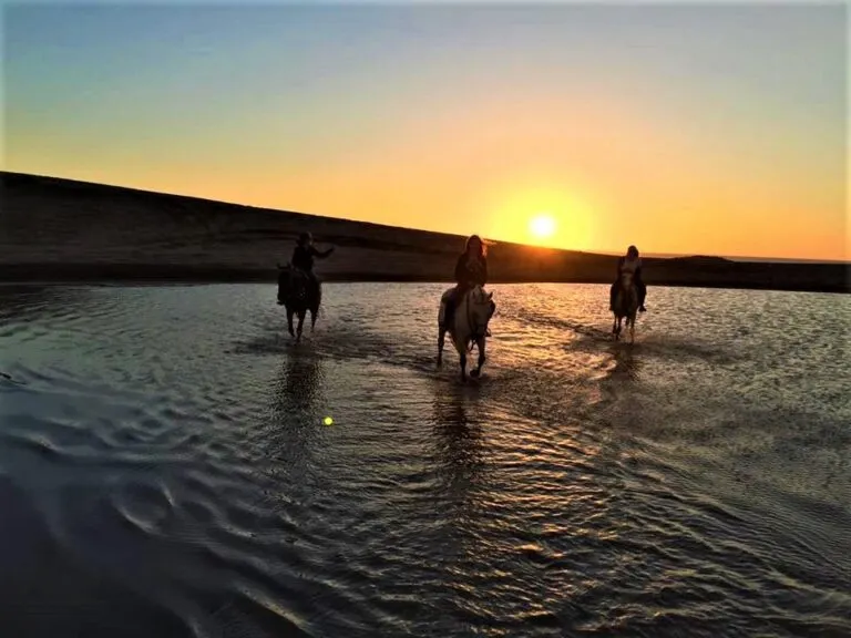 cabalgata-carilo-guia-de-playa